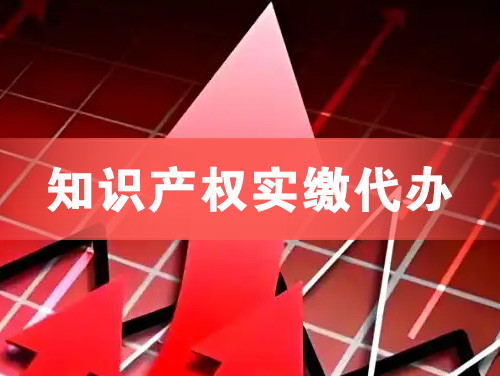 周口知识产权实缴资本代办